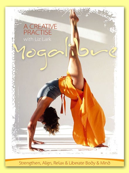 liz lark yoga dvd freestyle yoga